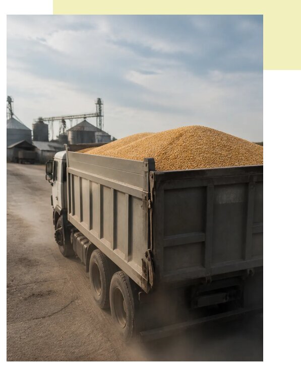 Перевозка сельхозпродукции навалом в Реж по цене от 3286 р. | Агросервис-Реж