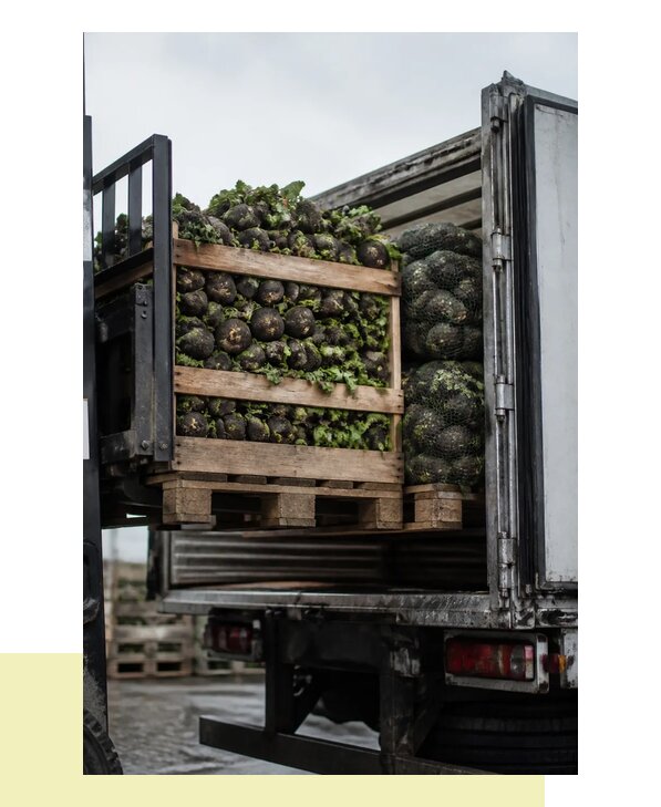 Перевозка редьки автотранспортом с доставкой в Реж